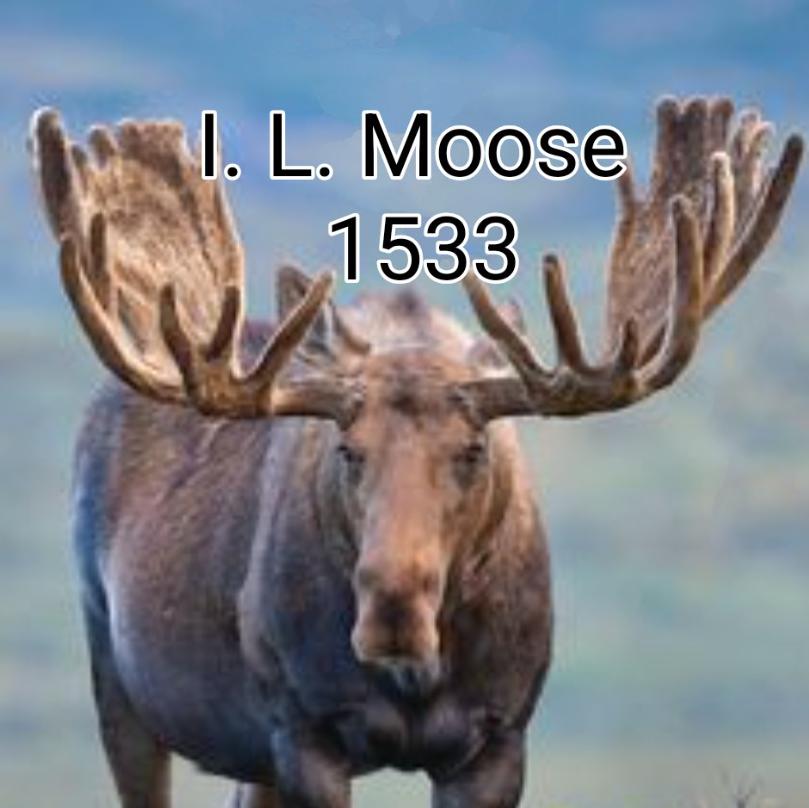 ILMoose1533