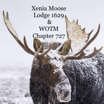 Xenia Moose FB